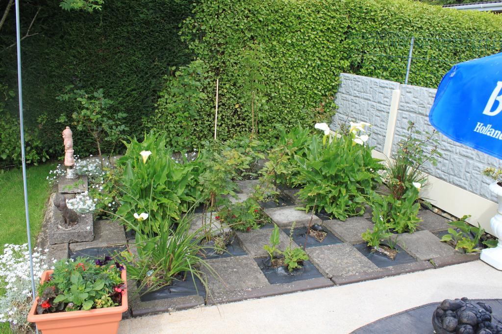 Flushing Meadow Bed And Breakfast Ballinhassig Exteriér fotografie
